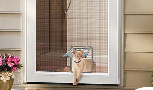 ScratchGuard Pet Portal